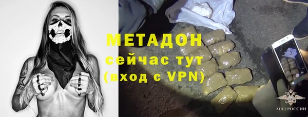 шишки Алексин