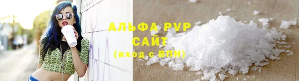 спиды Пересвет